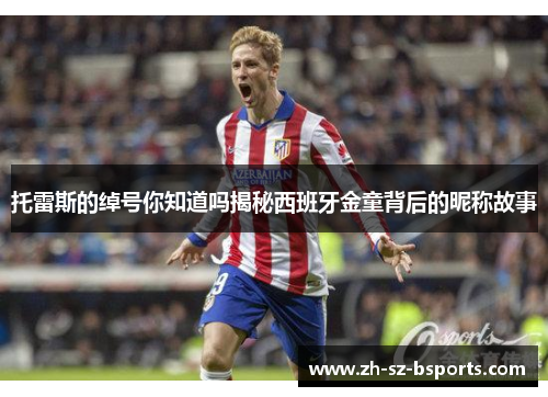 托雷斯的绰号你知道吗揭秘西班牙金童背后的昵称故事