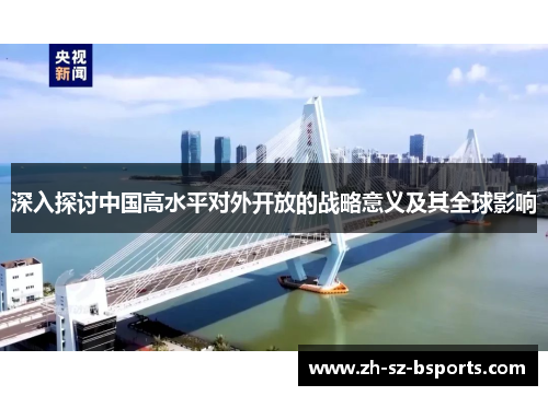 深入探讨中国高水平对外开放的战略意义及其全球影响