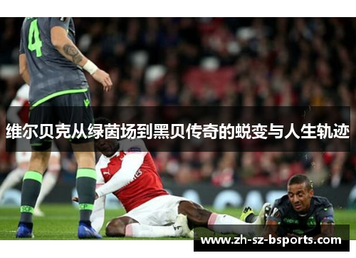 维尔贝克从绿茵场到黑贝传奇的蜕变与人生轨迹