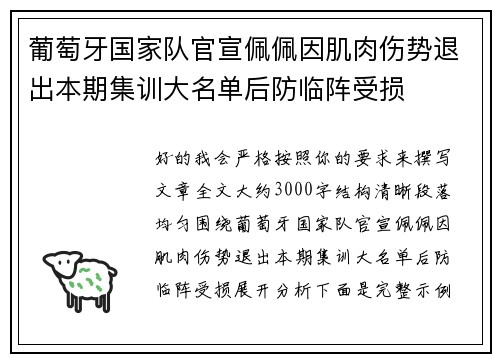 葡萄牙国家队官宣佩佩因肌肉伤势退出本期集训大名单后防临阵受损