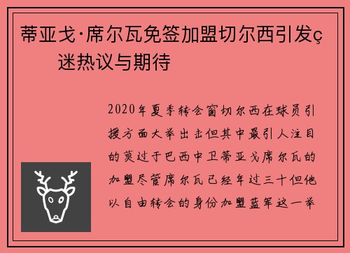 蒂亚戈·席尔瓦免签加盟切尔西引发球迷热议与期待
