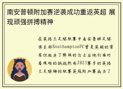 南安普顿附加赛逆袭成功重返英超 展现顽强拼搏精神
