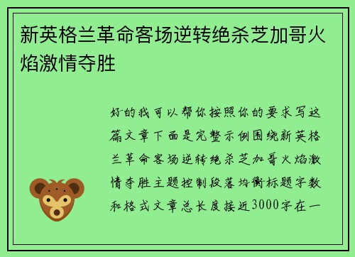 新英格兰革命客场逆转绝杀芝加哥火焰激情夺胜 新英格兰革命客场逆转绝杀芝加哥火焰激情夺胜